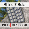 Rhino 7 Beta 07